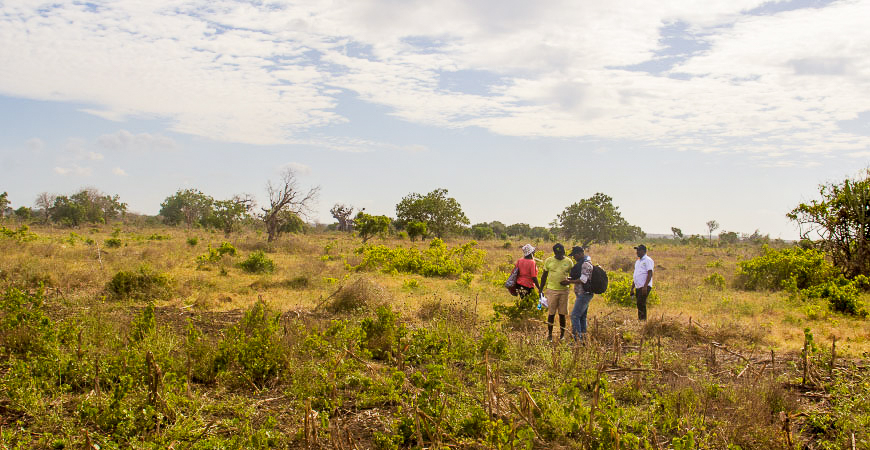 Gredico_Malindi_Picture
