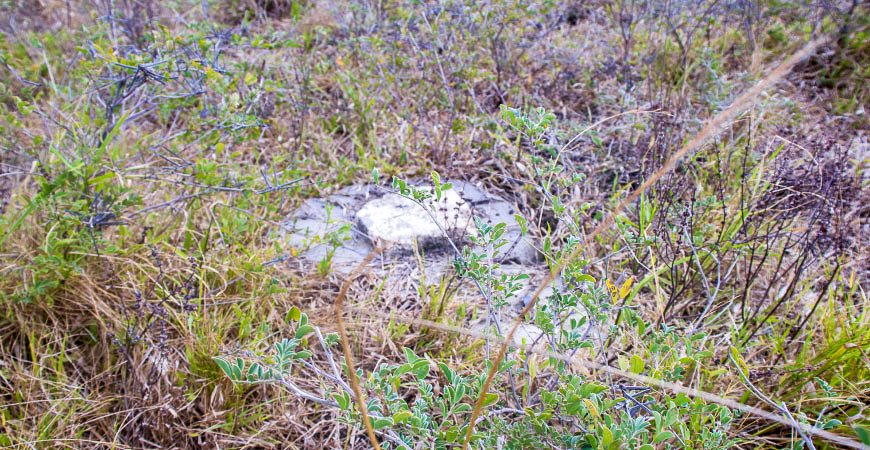 Gredico_Malindi_Picture_2