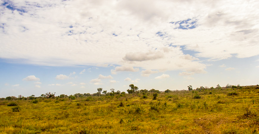 Gredico_Malindi_Picture_3