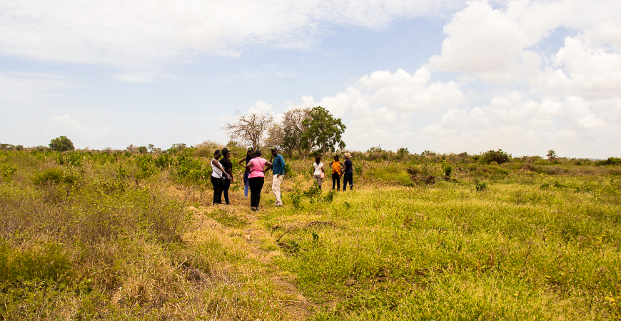 Gredico_Malindi_Picture_6