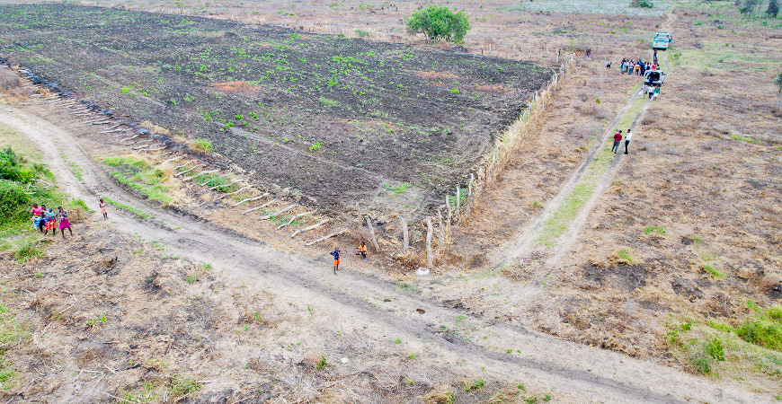 Gredico_Malindi_Picture_9