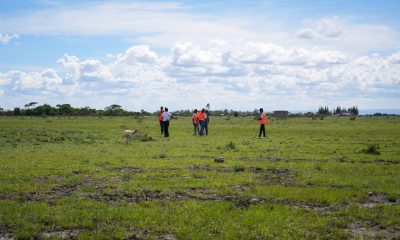 Juja Rise Gardens Phase 1