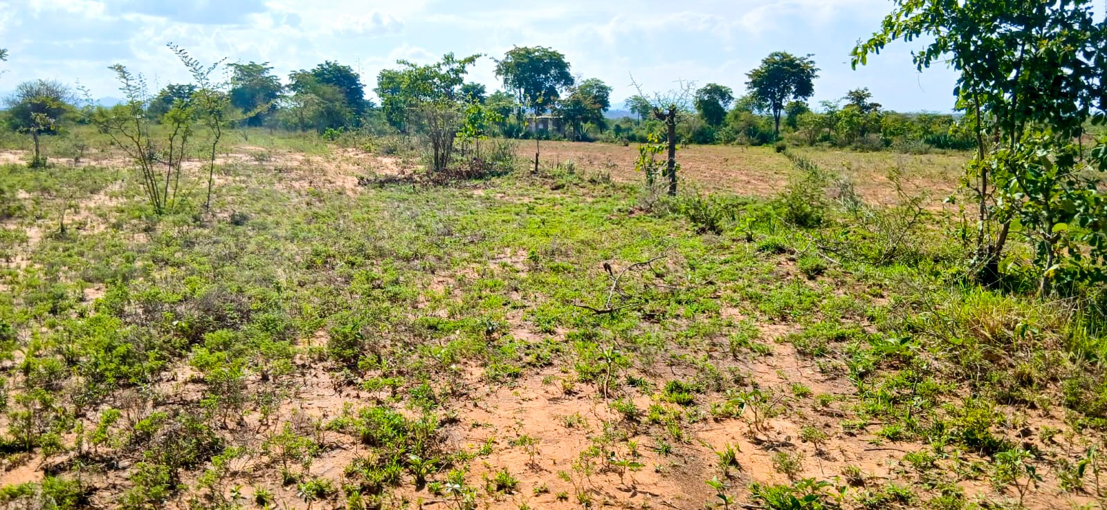 WhatsApp-Image-2026-03-05-at-3.52.12-PM-2