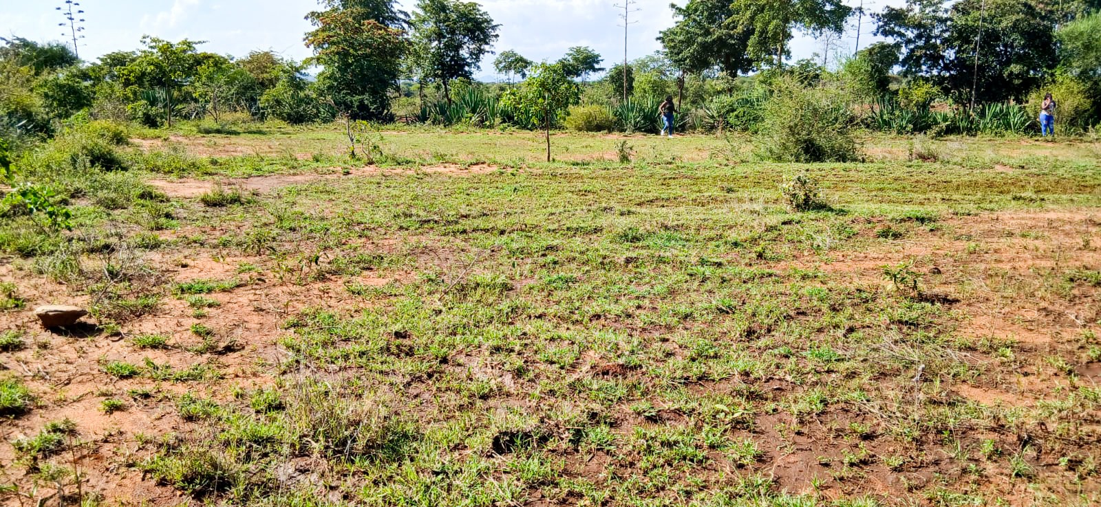 WhatsApp-Image-2026-03-05-at-3.52.12-PM-3