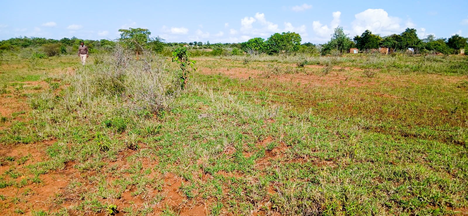 WhatsApp-Image-2026-03-05-at-3.52.12-PM